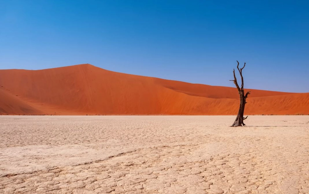 Las temperaturas mundiales superan el límite de calentamiento de 1,5 C durante un año completo