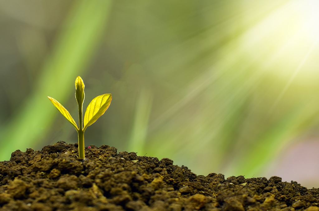 economía verde cambio climático